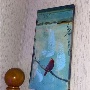 a portrait of a northern cardinal